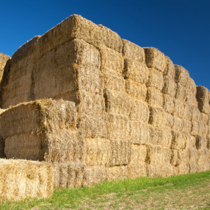 生物质破碎展示